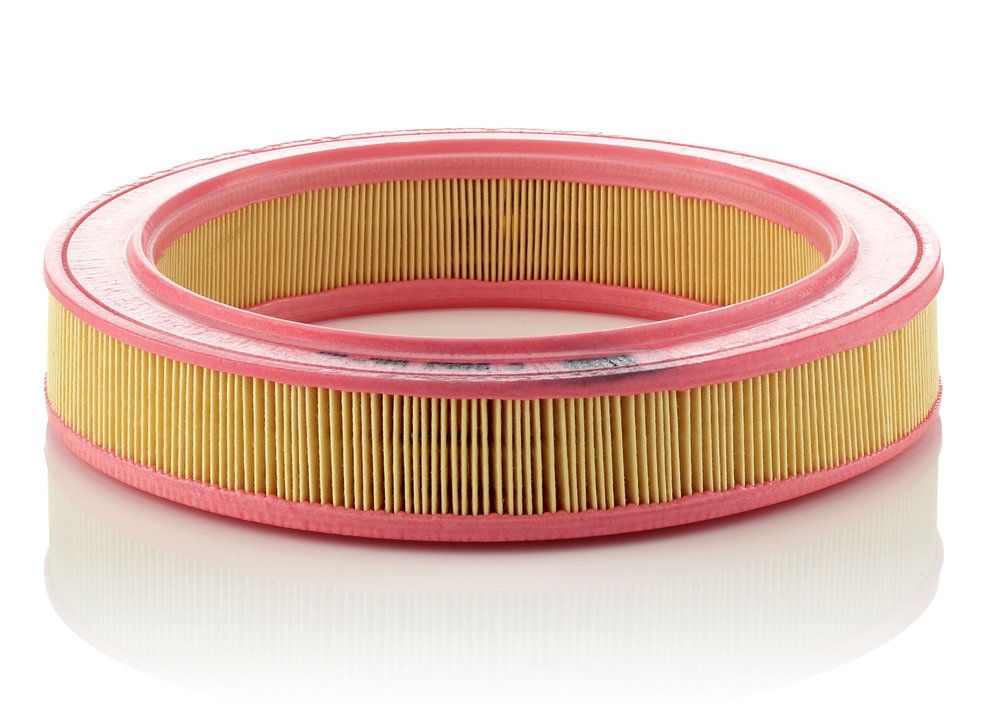 MANN-FILTER C 2863 Air filter