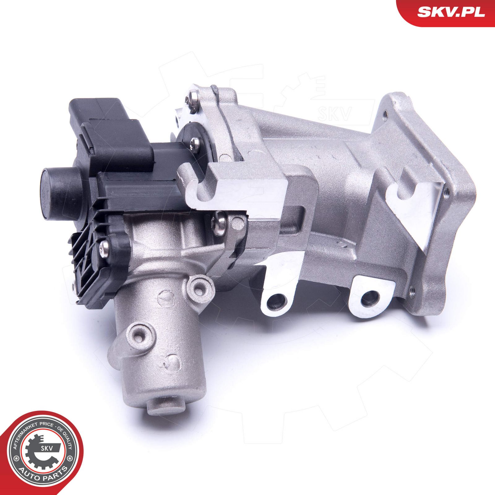 ESEN SKV 14SKV171 Egr valve