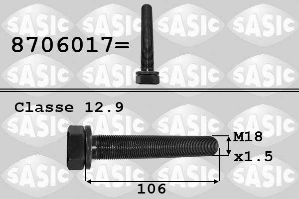 SASIC 8706017 Pulley bolt