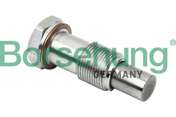 BORSEHUNG B1T014 Tensioner, timing chain
