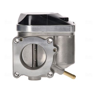 Throttle Body-1