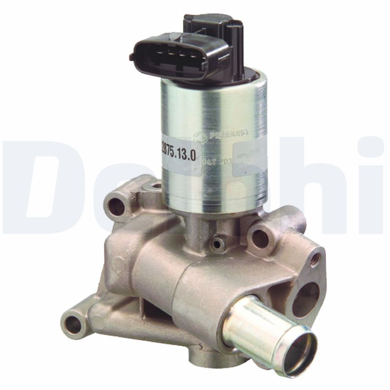 DELPHI EG10300-12B1 Egr valve