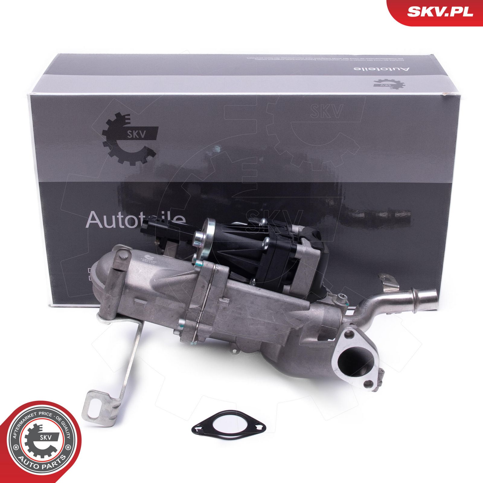 EGR Valve-4