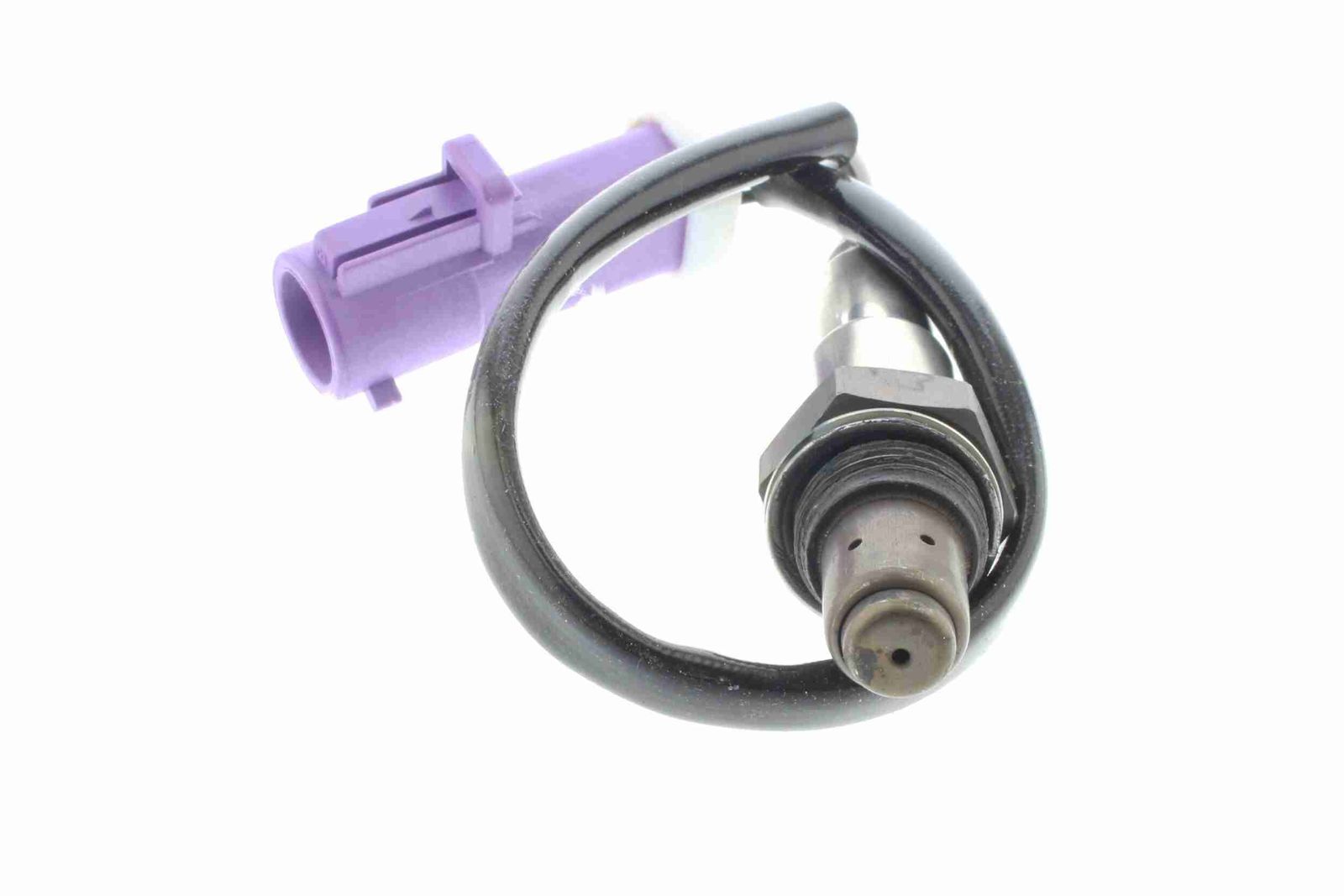 Oxygen Sensor-2