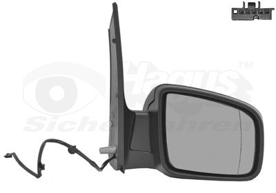 VAN WEZEL 3081808 Exterior mirror
