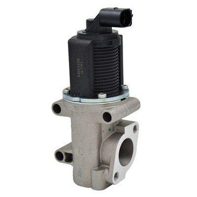 EGR Valve