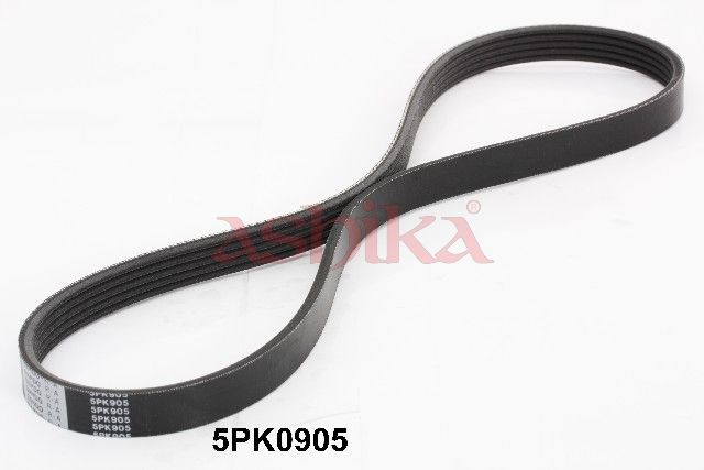 ASHIKA 112-5PK905 V-ribbed belt