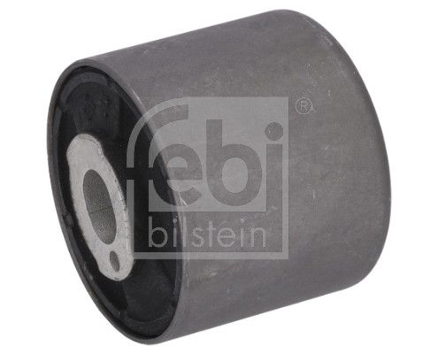 Mounting, differential-1