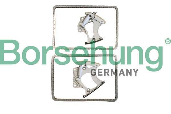 BORSEHUNG B10248 Timing chain kit