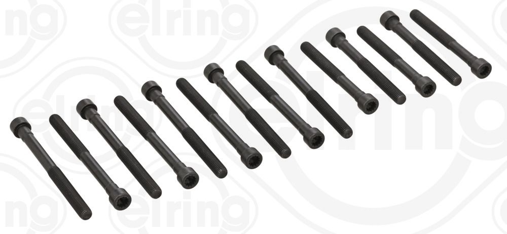 ELRING 819.980 Cylinder head bolt set