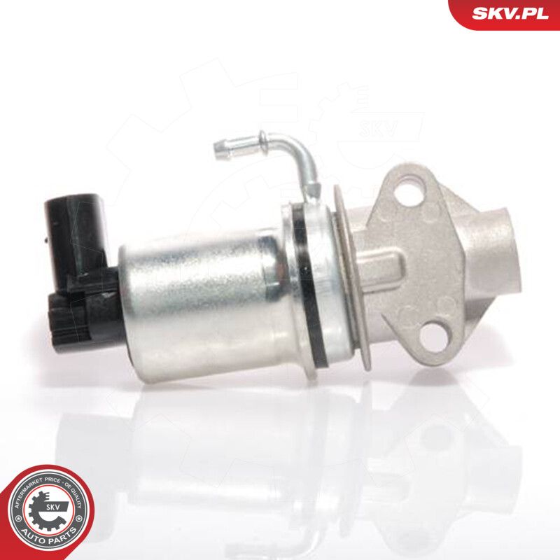 EGR Valve-2