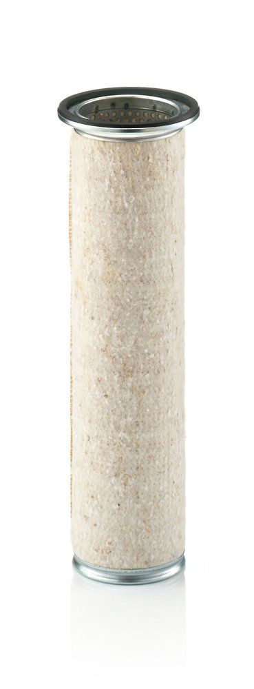 Secondary Air Filter-main