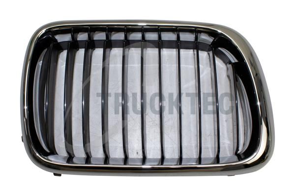 TRUCKTEC AUTOMOTIVE 08.62.256 Radiator grille