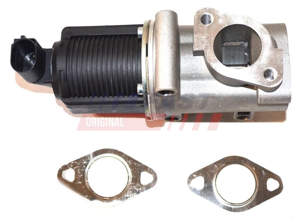 FAST FT60227 Egr valve