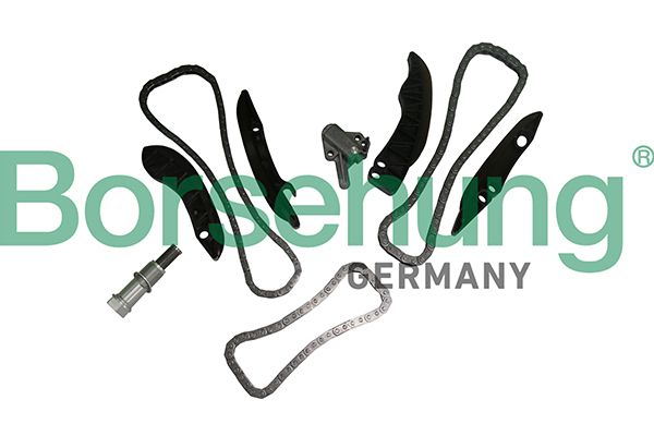 BORSEHUNG B19295 Timing chain kit