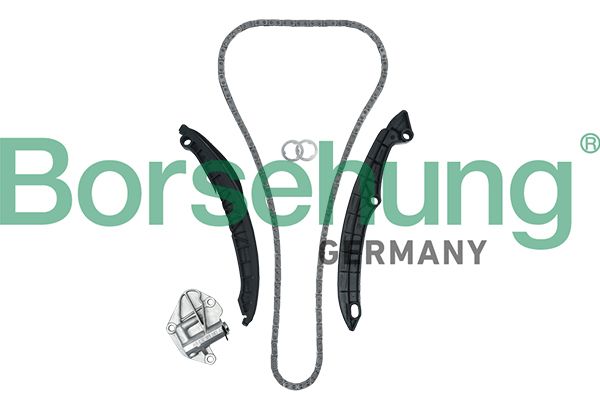BORSEHUNG B19229 Timing chain kit