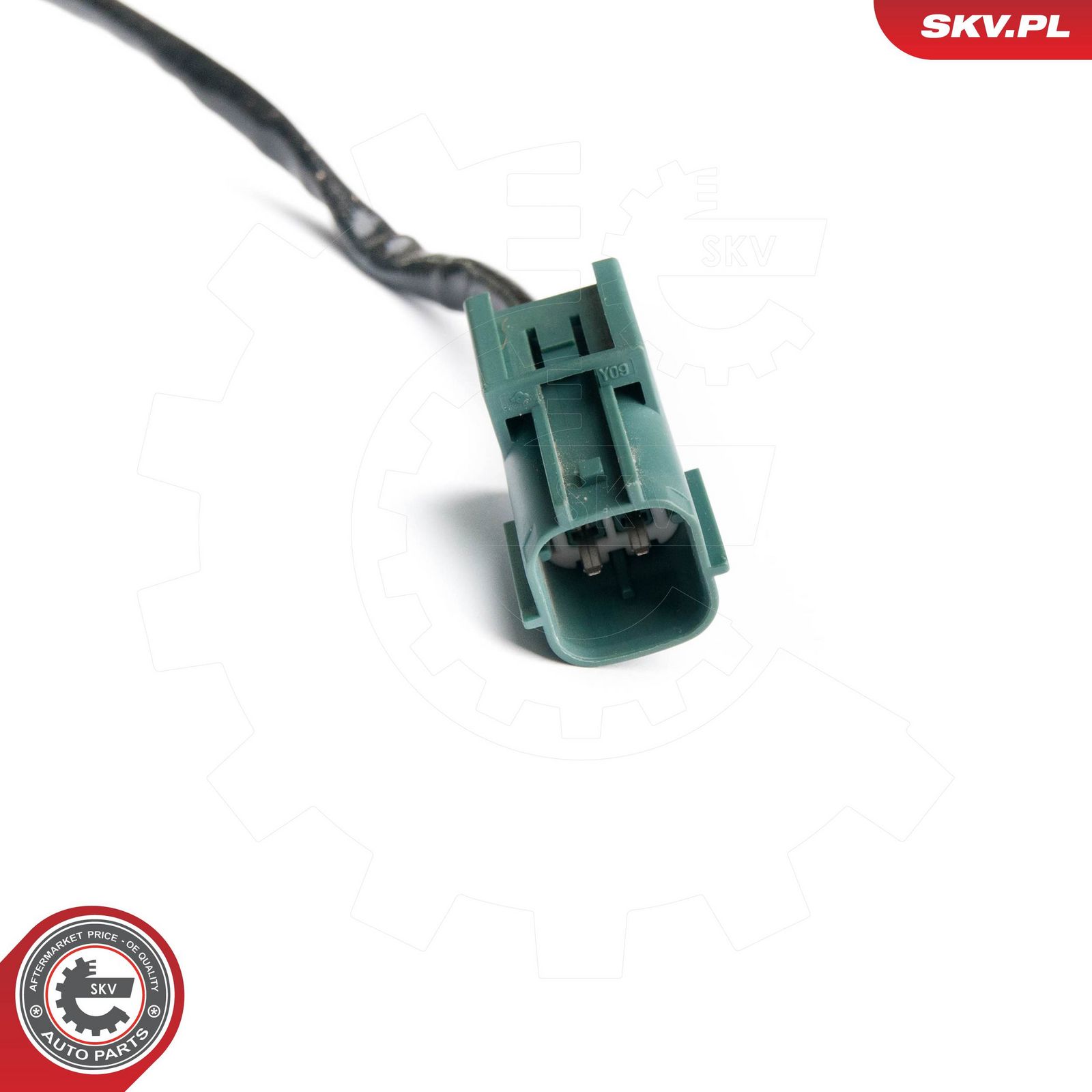 Oxygen Sensor-1