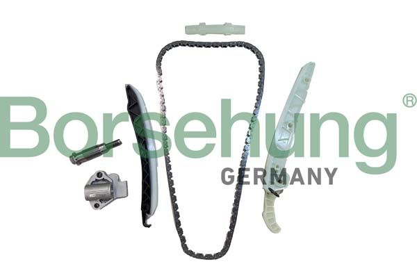 BORSEHUNG B12555 Timing chain kit