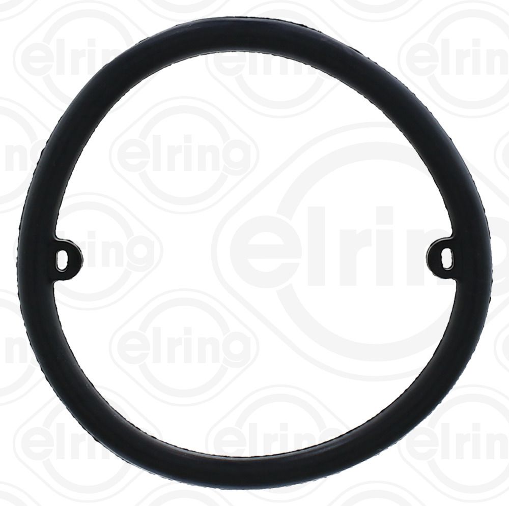Seal Ring, oil cooler (lubrication)-1