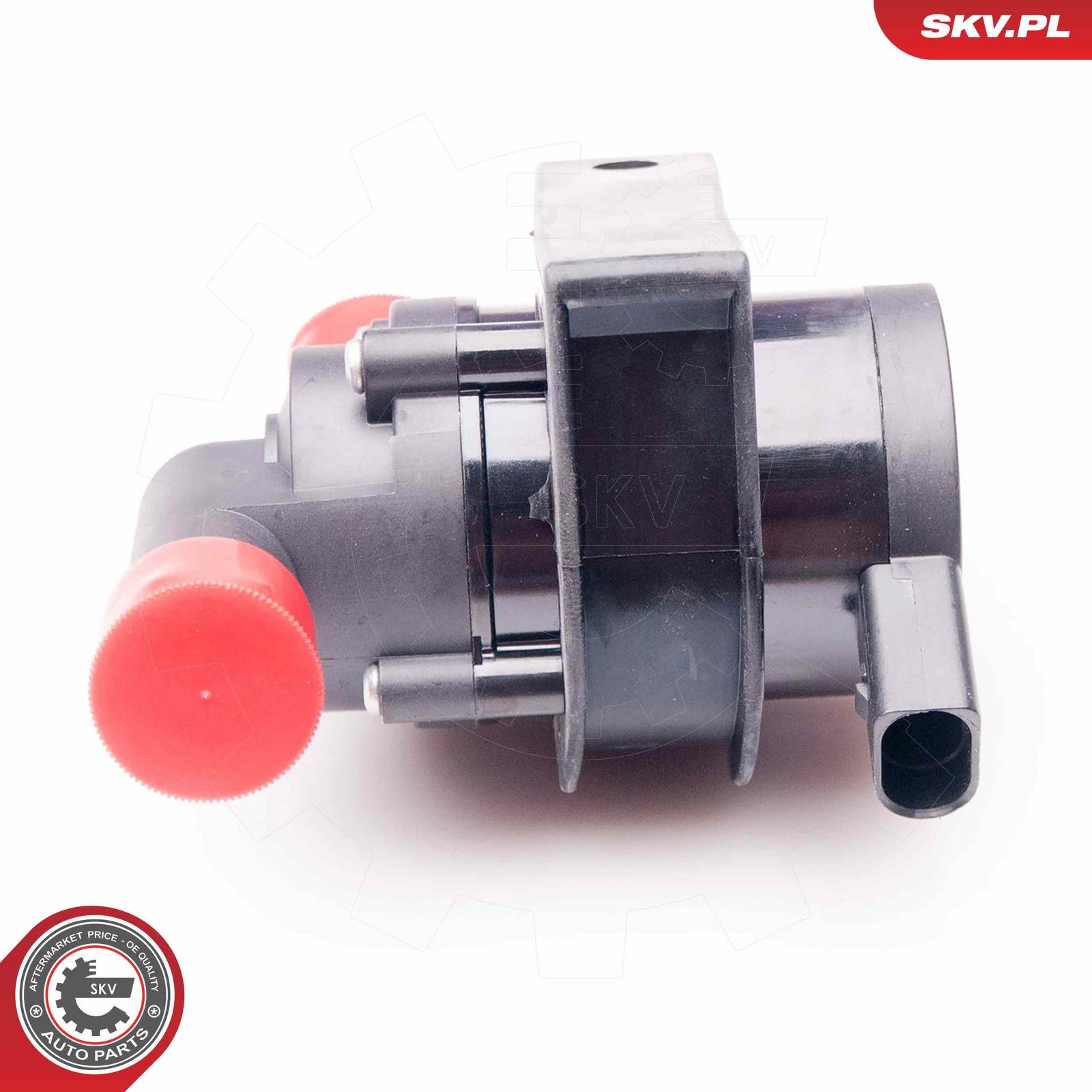 ESEN SKV 22SKV010 Auxiliary water pump (cooling water circuit)