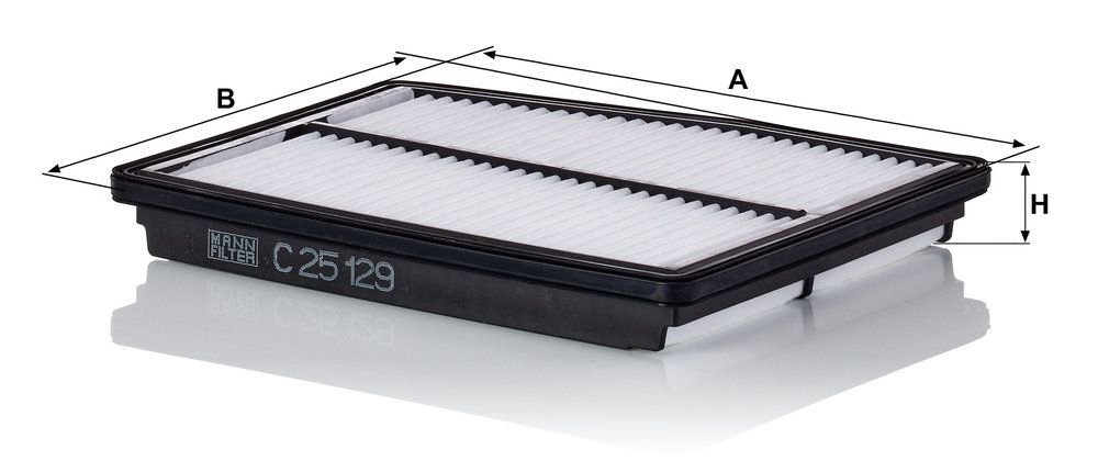 Air Filter-3