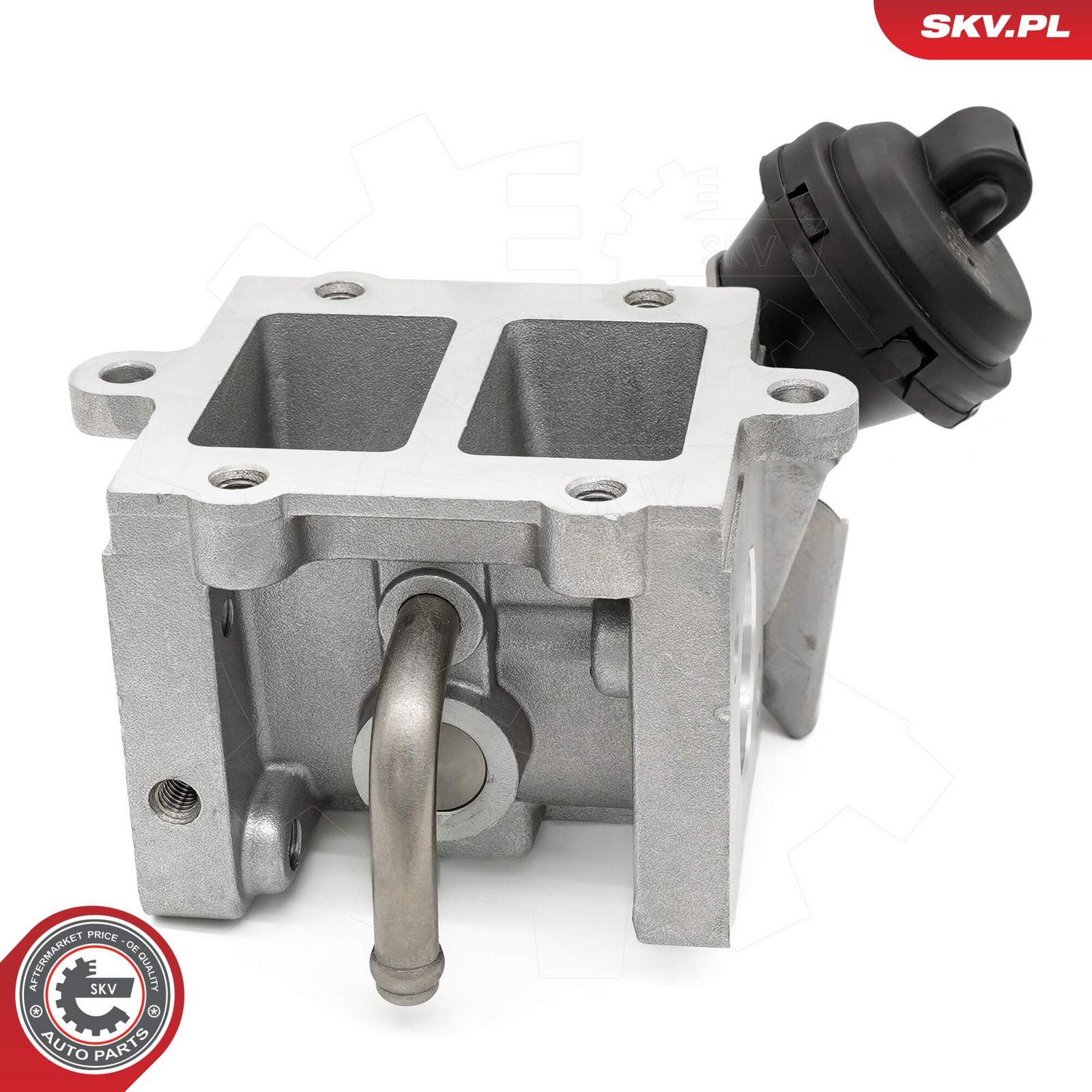 EGR Valve-3