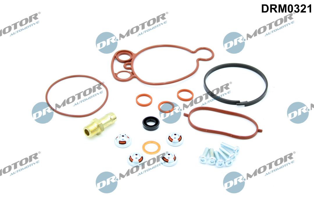 DR.MOTOR AUTOMOTIVE DRM0321 Repair set, vacuum pump (braking system)
