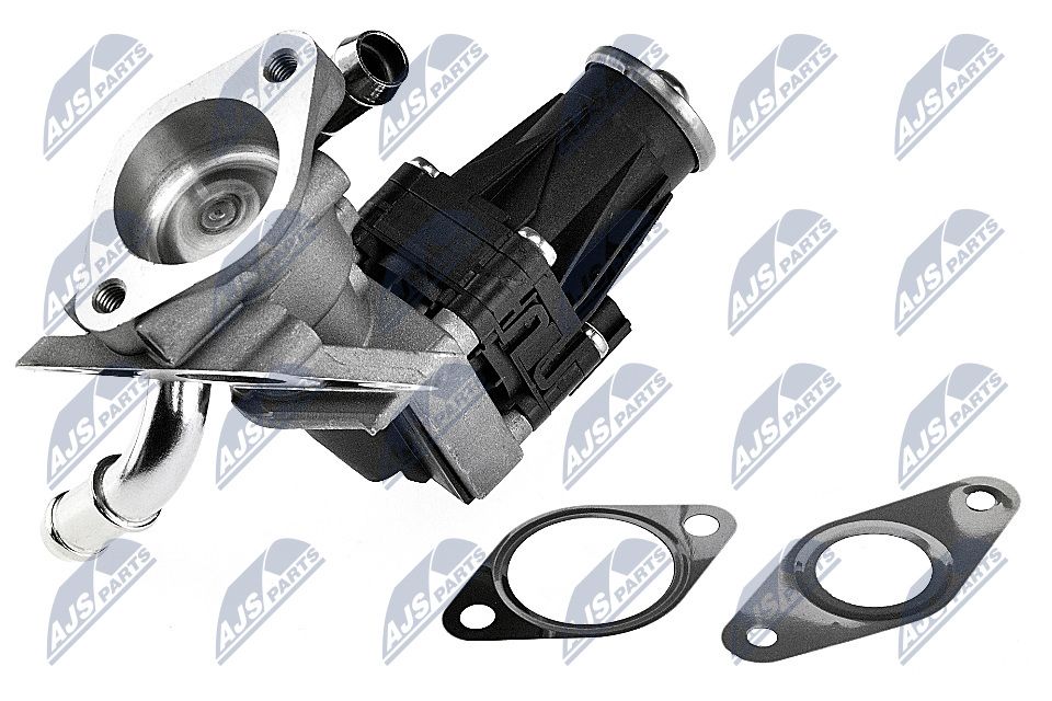 EGR Valve-1