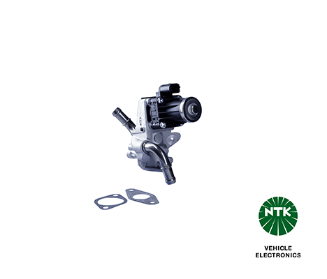 EGR Valve-1