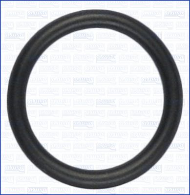 Seal Ring, nozzle holder-1