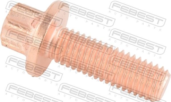 Fastening Bolt, control arm