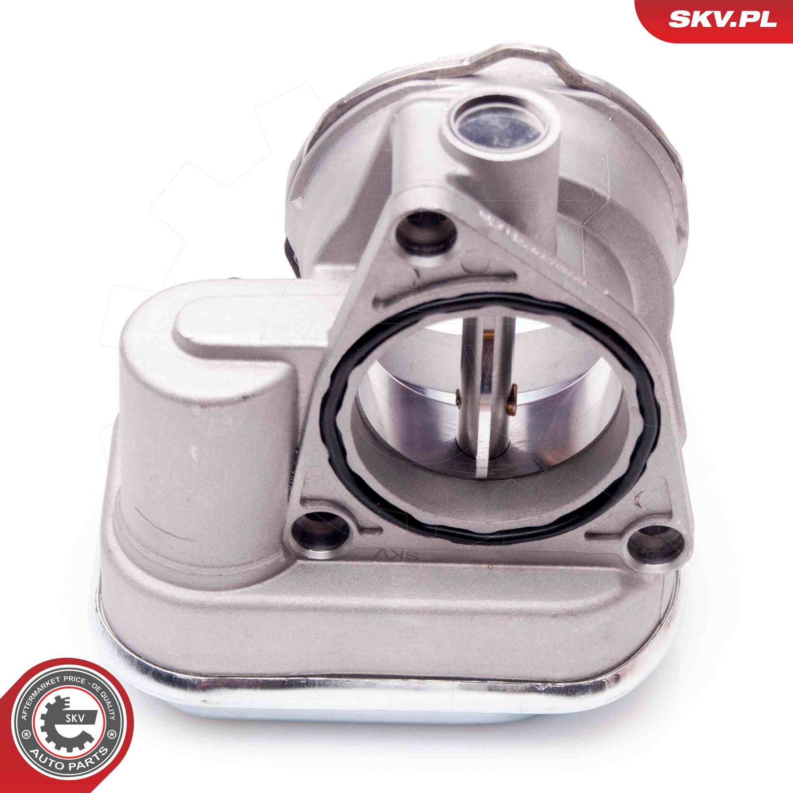 Throttle Body-1