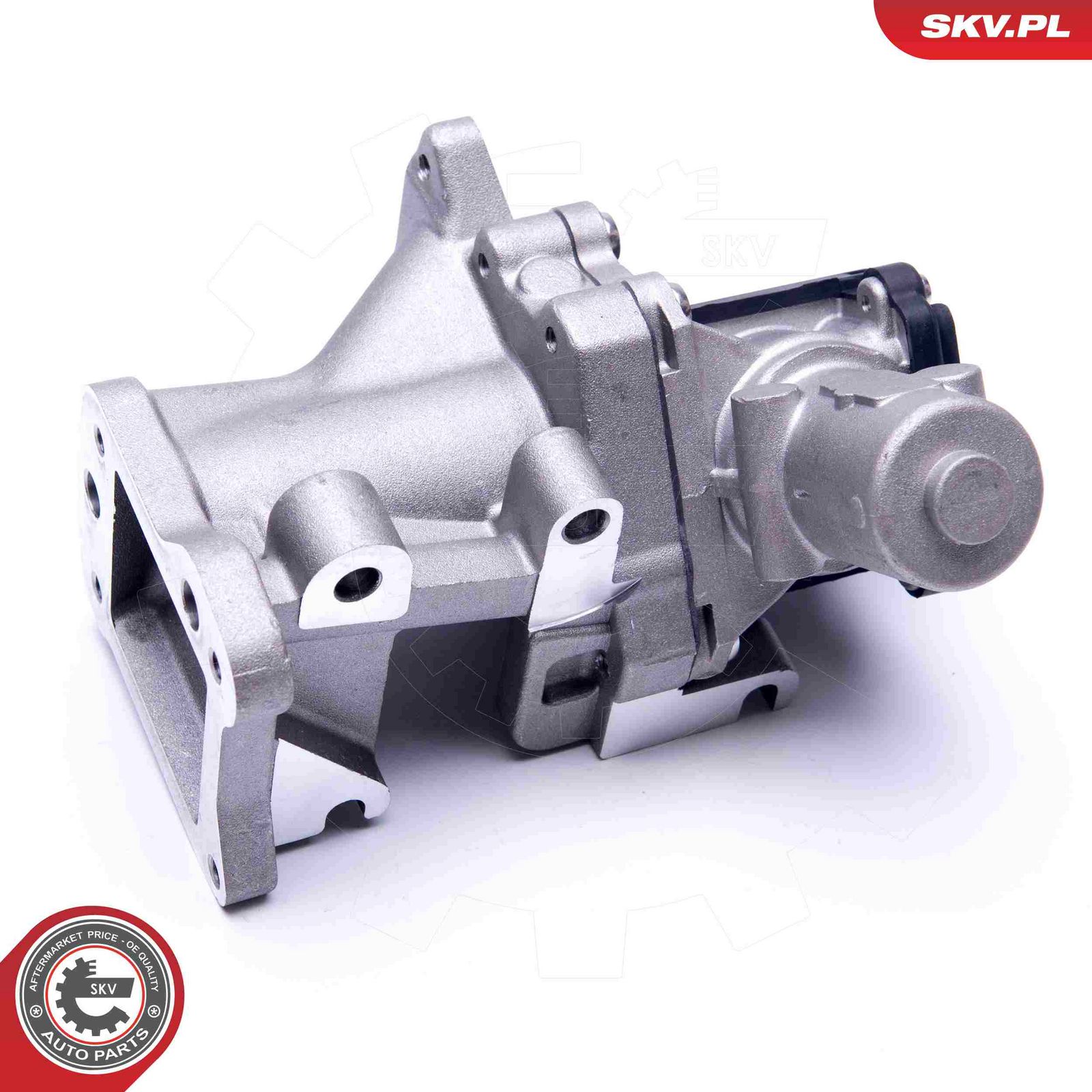 EGR Valve-3
