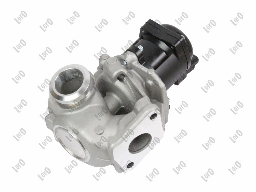 EGR Valve-2