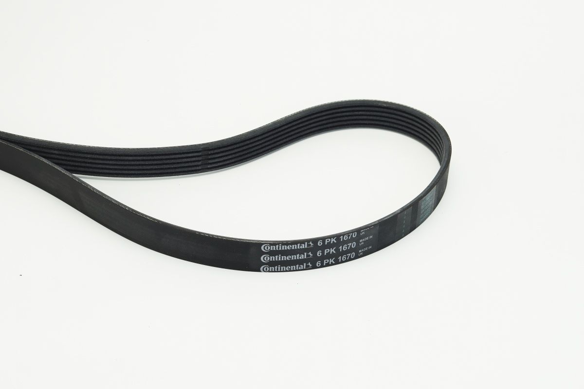 CONTINENTAL CTAM 6PK1670 V-ribbed belt