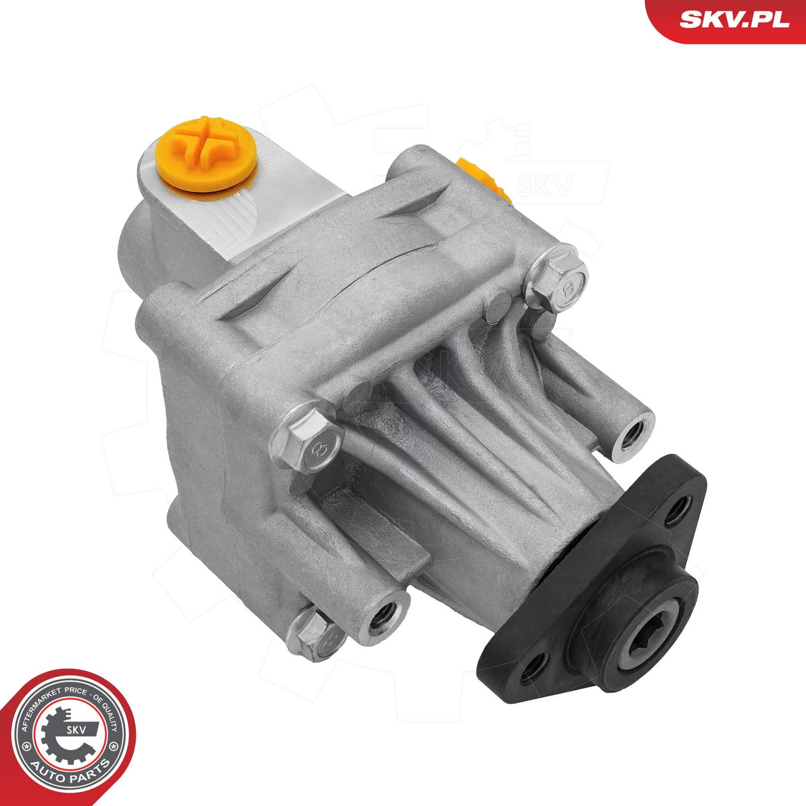 ESEN SKV 10SKV523 Hydraulic pump, steering