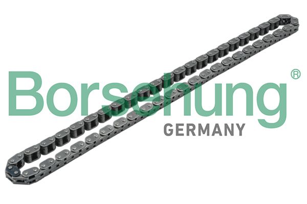 BORSEHUNG B1C002 Timing chain