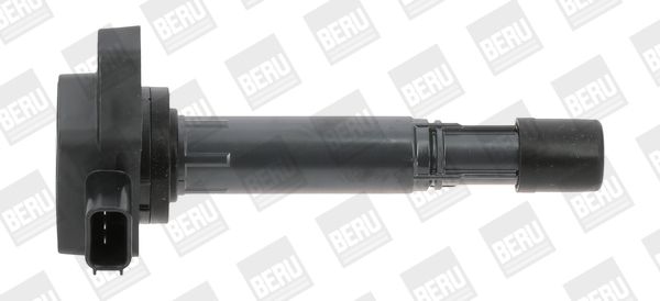 BORGWARNER (BERU) ZSE170 Ignition coil