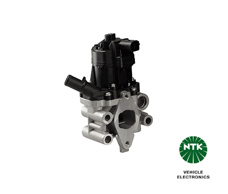 EGR Valve-1
