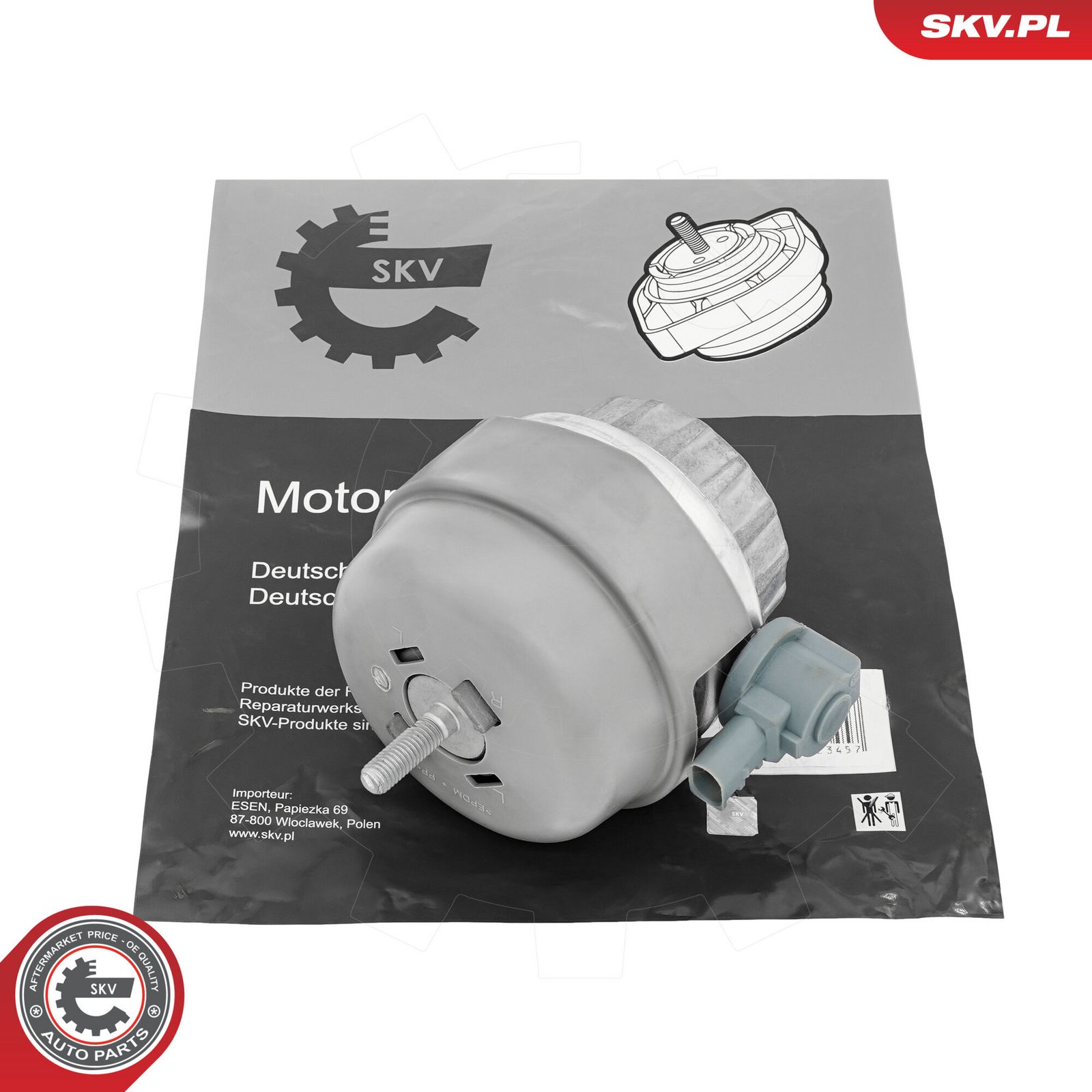 Mounting, engine-8