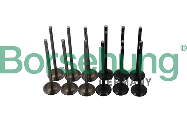 BORSEHUNG B19160 Valve kit, intake/exhaust valve