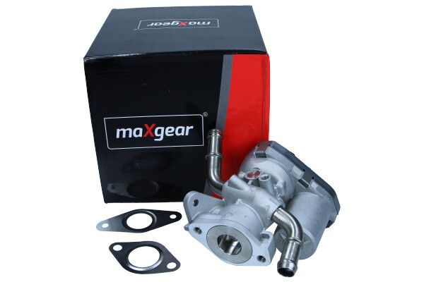 EGR Valve-2