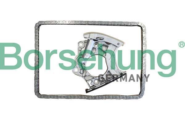 BORSEHUNG B10244 Timing chain kit