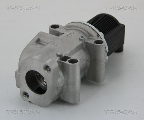 TRISCAN 8813 15032 Egr valve