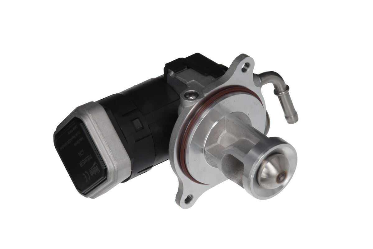 EGR Valve-2