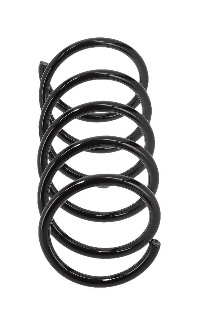 Suspension Spring-2