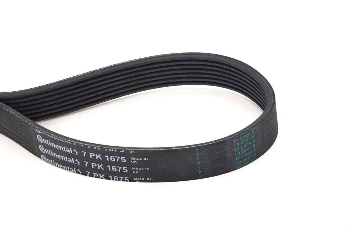 CONTINENTAL CTAM 7PK1675 V-ribbed belt