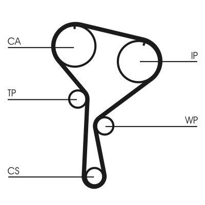 Timing Belt-1