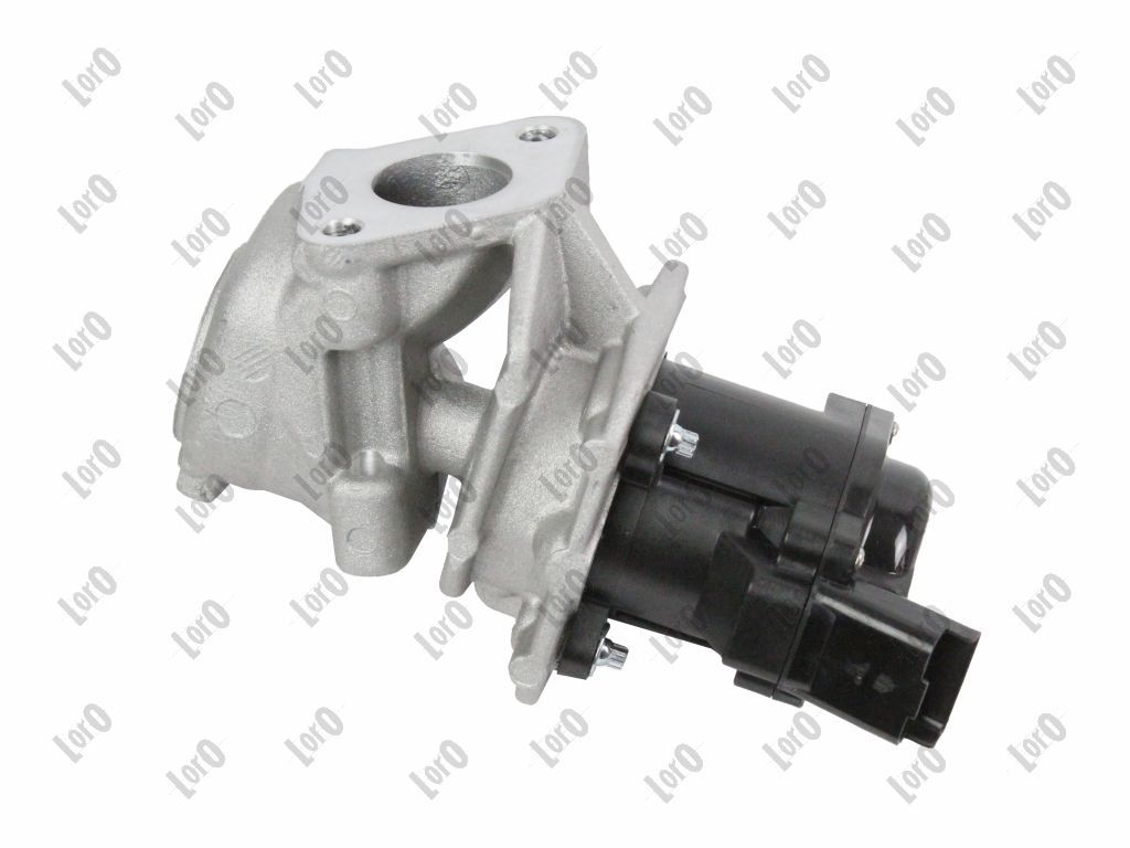 EGR Valve-3