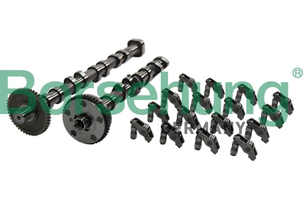 BORSEHUNG B19173 Camshaft kit